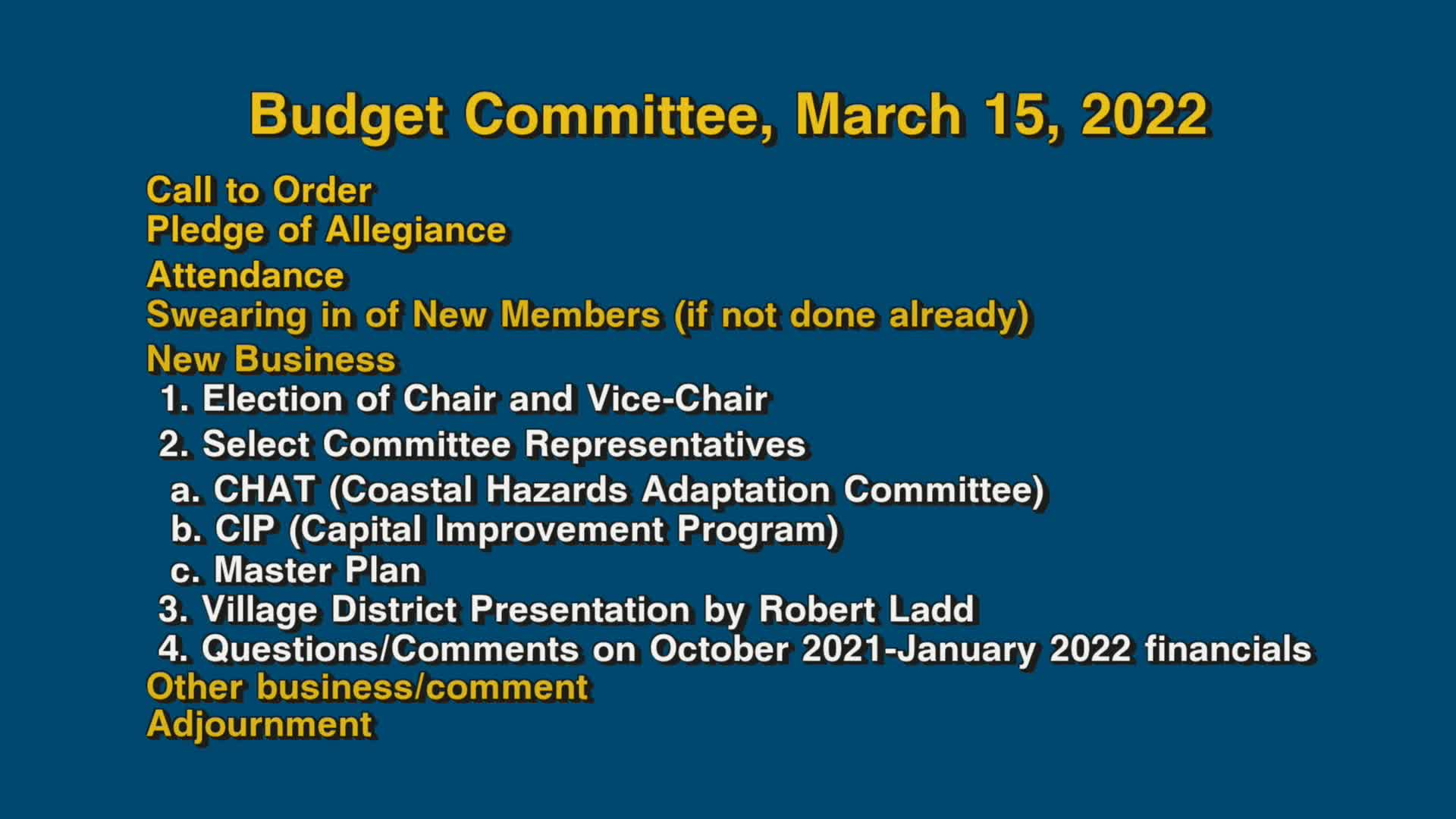 Thumbnail image for Budget Committee, March 15, 2022